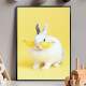 Quadro Decorativo Coelho Branco Com �culos