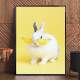 Quadro Decorativo Coelho Branco Com �culos