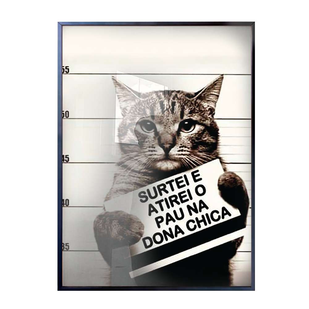 Quadro Decorativo Engraado Gato Com Frase
