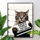 Quadro Decorativo Engra�ado Gato Com Frase