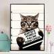 Quadro Decorativo Engra�ado Gato Com Frase