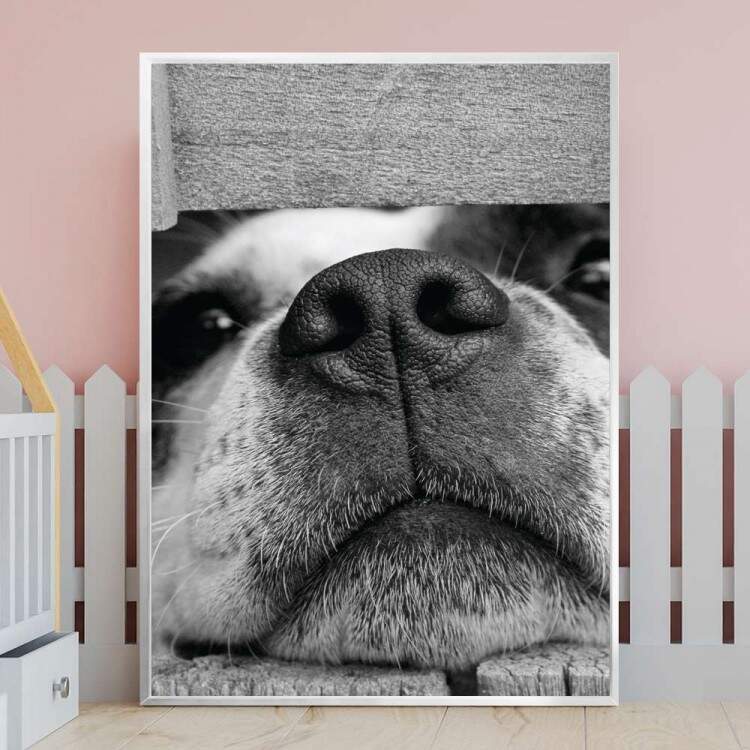 Quadro Decorativo Fucinho De Filhote Preto e Branco