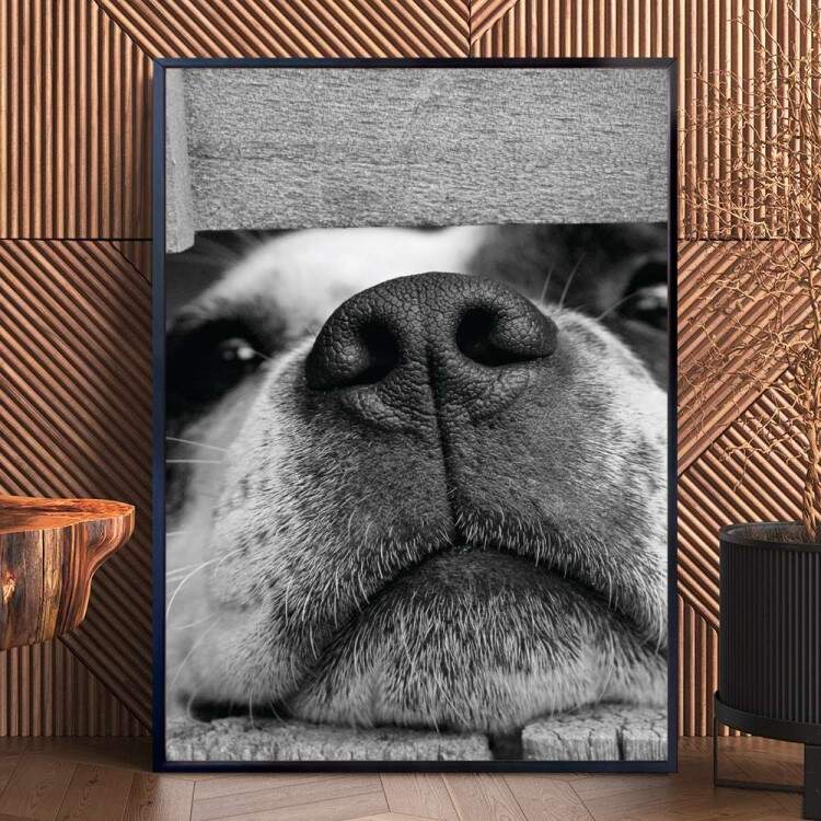 Quadro Decorativo Fucinho De Filhote Preto e Branco