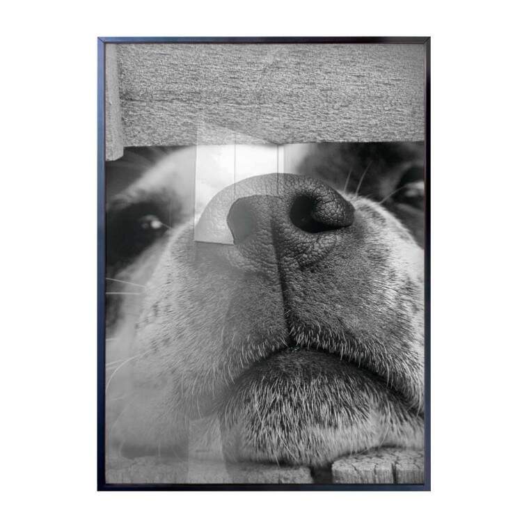 Quadro Decorativo Fucinho De Filhote Preto e Branco