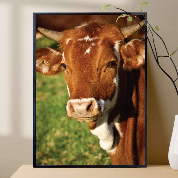 Quadro Decorativo Animais Vaca Marrom Com Branco