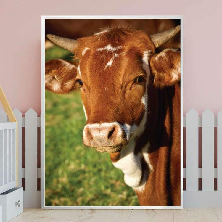 Quadro Decorativo Animais Vaca Marrom Com Branco