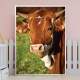 Quadro Decorativo Animais Vaca Marrom Com Branco