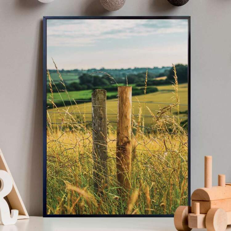 Quadro Decorativo Cerca Na Grama E Paisagem