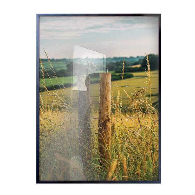Quadro Decorativo Cerca Na Grama E Paisagem