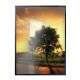 Quadro Decorativo Estrada e Arvore Ao Por Do Sol