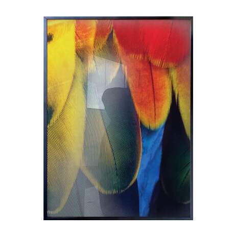 Quadro Decorativo Composio De Penas Coloridas De Arara