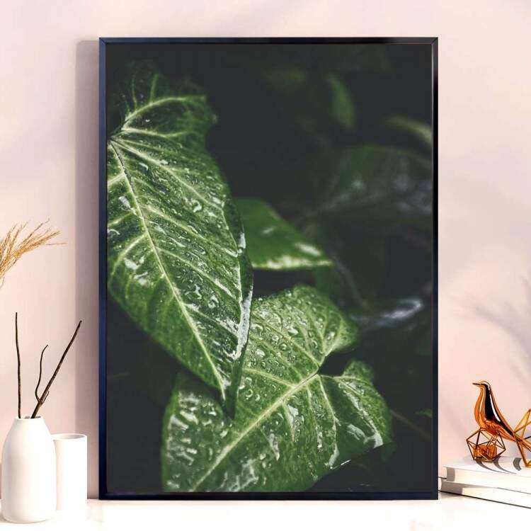 Quadro Decorativo Folhas Verdes Molhadas