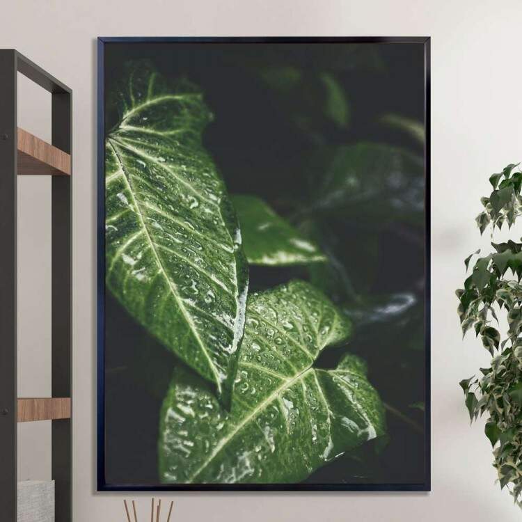 Quadro Decorativo Folhas Verdes Molhadas