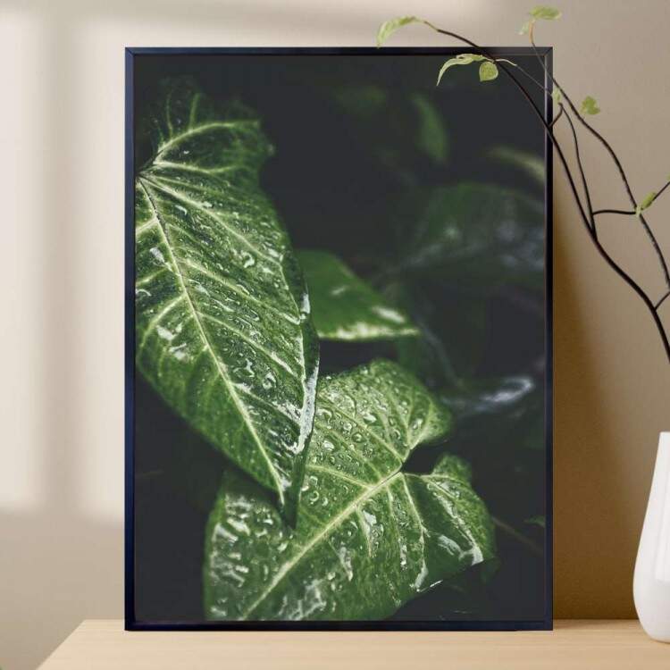 Quadro Decorativo Folhas Verdes Molhadas