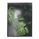 Quadro Decorativo Folhas Verdes Molhadas