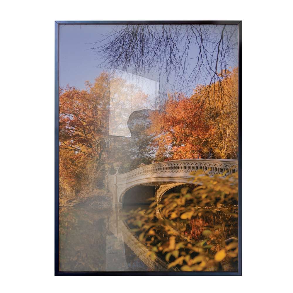 Quadro Decorativo Tursticos Outono No Central Park