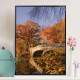 Quadro Decorativo Tur�sticos Outono No Central Park