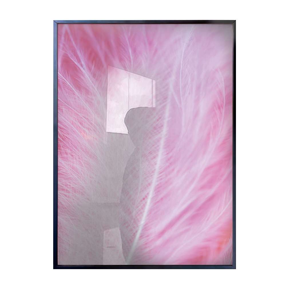 Quadro Decorativo Pena Rosa