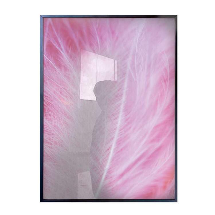 Quadro Decorativo Pena Rosa