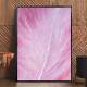 Quadro Decorativo Pena Rosa