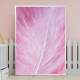 Quadro Decorativo Pena Rosa
