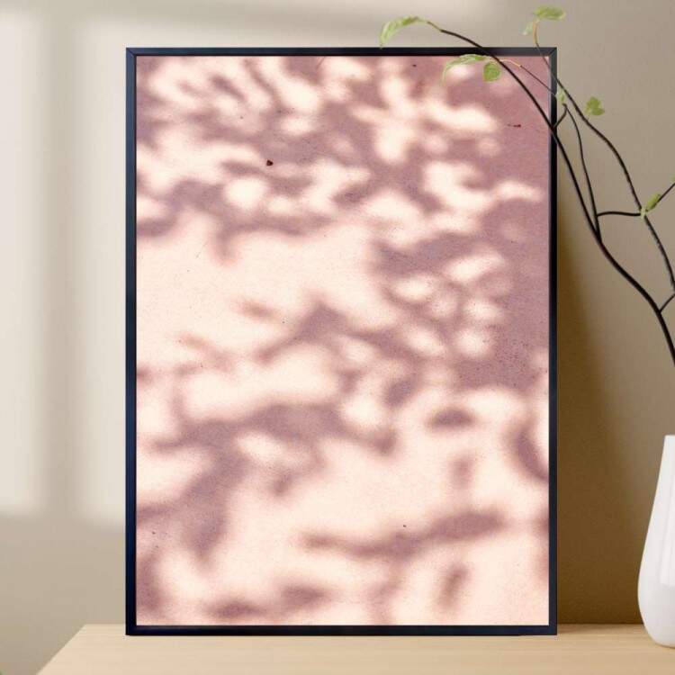 Quadro Decorativo Sombra Do Cho Rosa