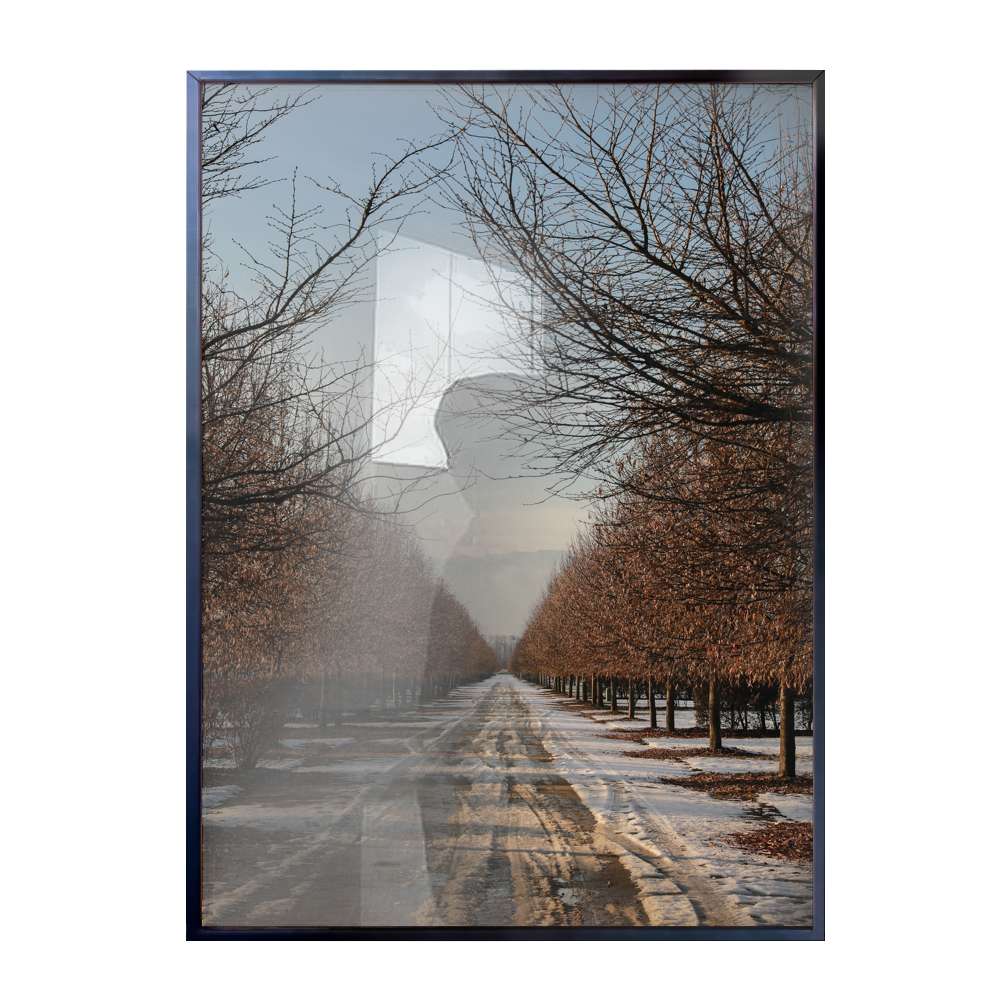 Quadro Decorativo Estrada Vazia Na Neve