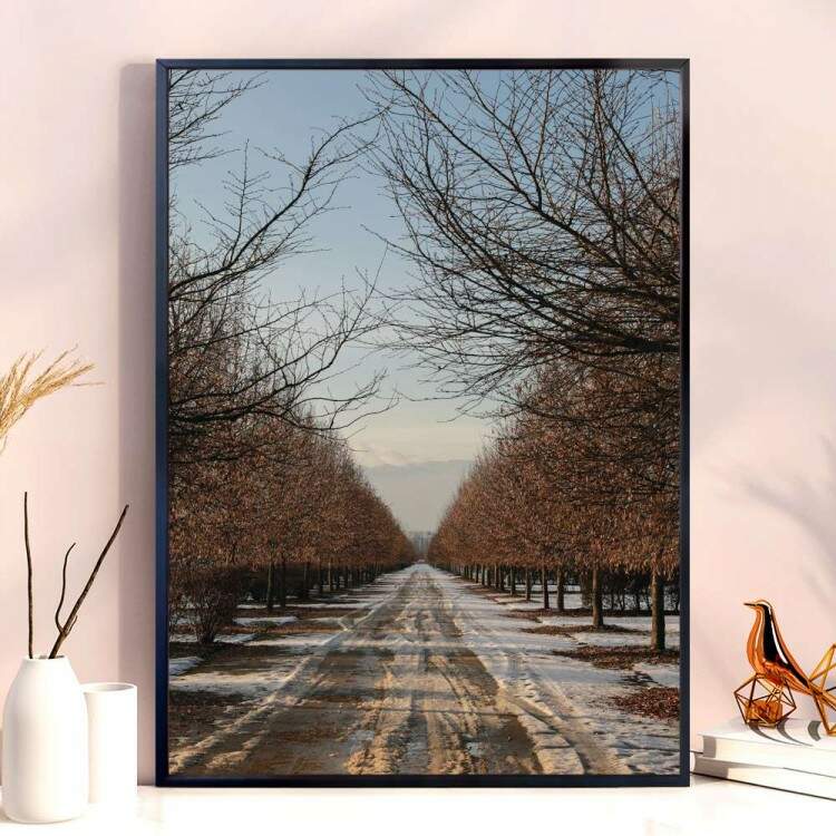 Quadro Decorativo Estrada Vazia Na Neve
