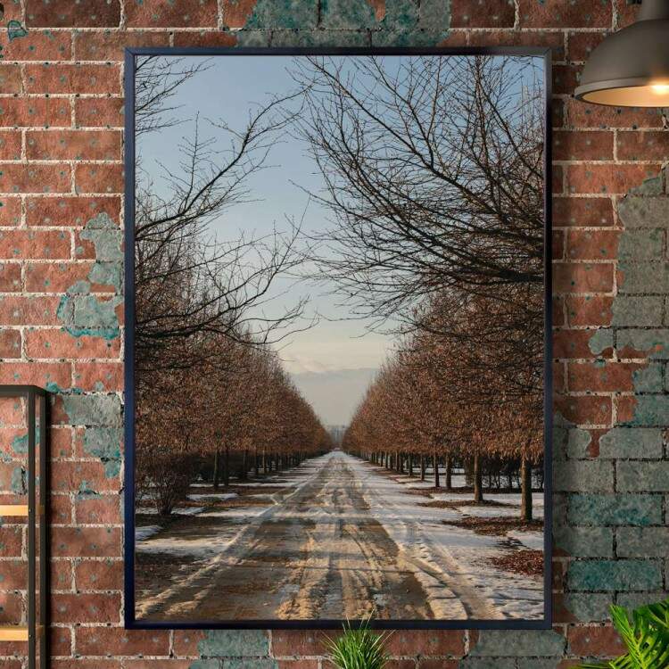 Quadro Decorativo Estrada Vazia Na Neve