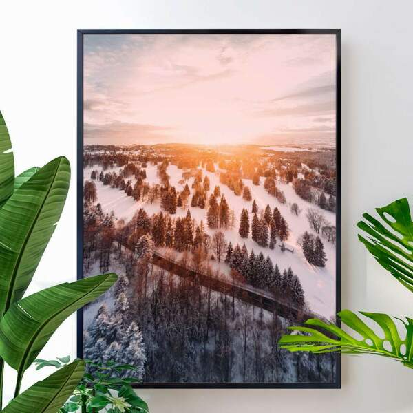 Quadro Decorativo Floresta e Neve