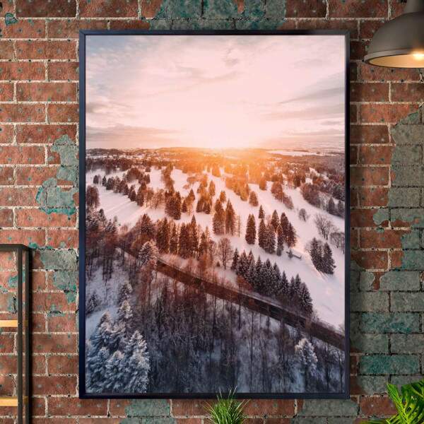 Quadro Decorativo Floresta e Neve