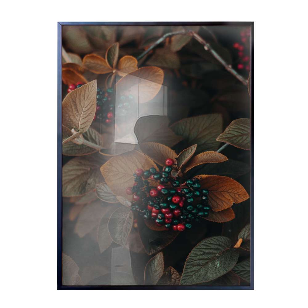 Quadro Decorativo Folhas Cinzas e Laranjas E Frutas