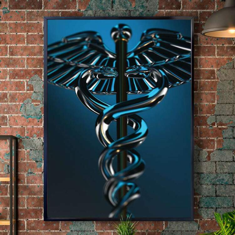 Quadro Decorativo Objeto Ficcional Caduceu
