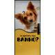 Adesivo Para Porta Petshop Agendou seu Banho