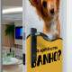 Adesivo Para Porta Petshop Agendou seu Banho