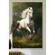 Quadro Decorativo Cavalo Branco Correndo