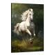 Quadro Decorativo Cavalo Branco Correndo