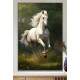 Quadro Decorativo Cavalo Branco Correndo