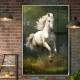 Quadro Decorativo Cavalo Branco Correndo