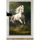 Quadro Decorativo Cavalo Branco Correndo