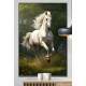Quadro Decorativo Cavalo Branco Correndo