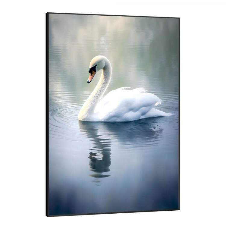 Quadro Decorativo Cisne