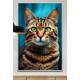 Quadro Decorativo Gato Caramelo