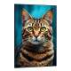 Quadro Decorativo Gato Caramelo