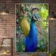 Quadro Decorativo Pav�o