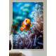 Quadro Decorativo Peixe Palha�o