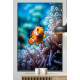 Quadro Decorativo Peixe Palha�o
