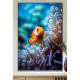 Quadro Decorativo Peixe Palha�o