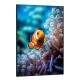 Quadro Decorativo Peixe Palha�o