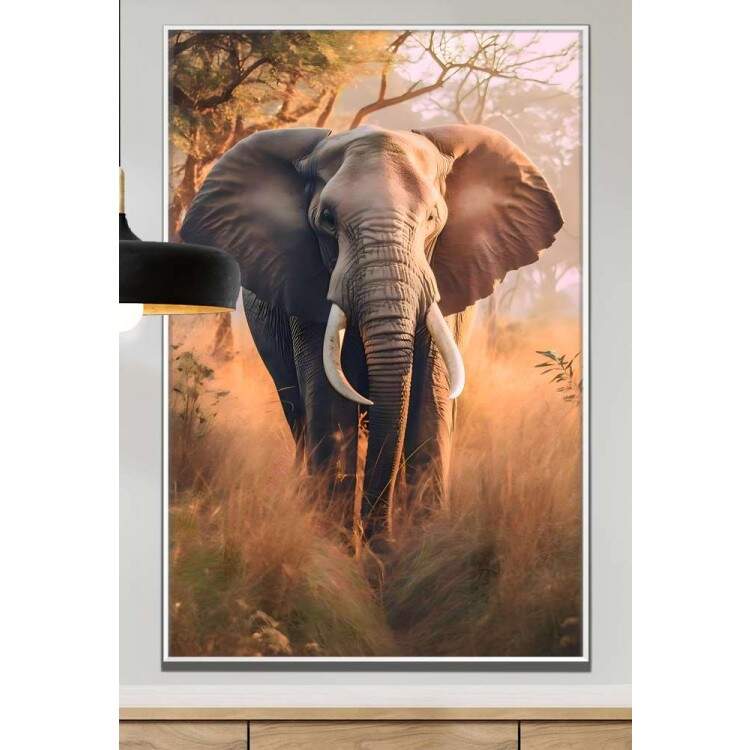 Quadro Decorativo Elefante